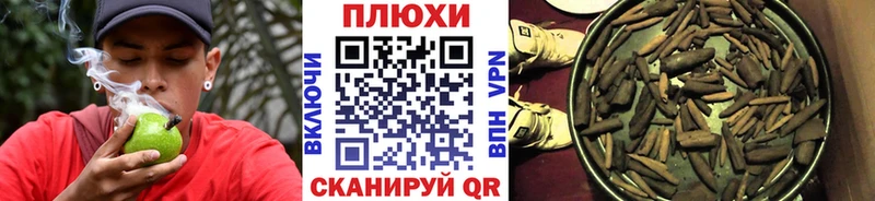 где продают   Западная Двина  ГАШИШ индика сатива 