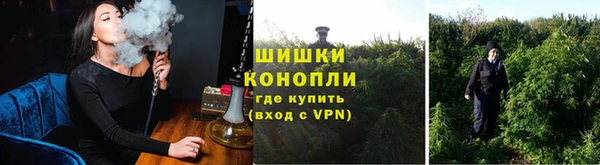 ГАЛЛЮЦИНОГЕННЫЕ ГРИБЫ Сатка